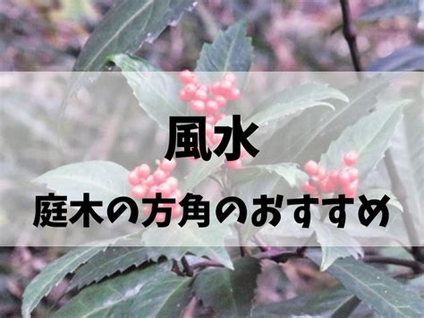 なつめの木 風水|風水で庭木の方角のおすすめと縁起がいい庭木の言い。